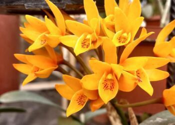 Sólo cuando tú estás…