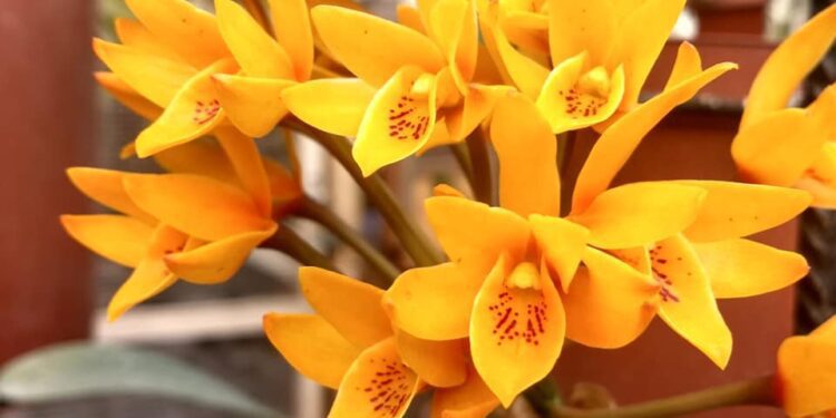 Sólo cuando tú estás…