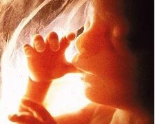 El asesinato de un niño tiene una nueva excusa: “angustia psicosocial”