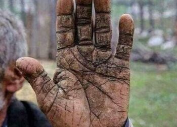 Relatos de la pandemia: nuestros ancianos