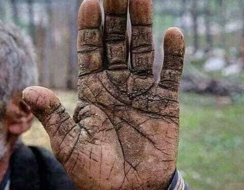 Relatos de la pandemia: nuestros ancianos