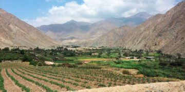 En defensa del ultimo valle verde de Lima
