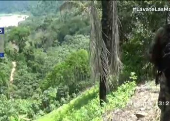 Sendero Luminoso sigue atacando, en sociedad con el narcotráfico