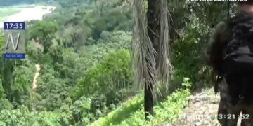 Sendero Luminoso sigue atacando, en sociedad con el narcotráfico