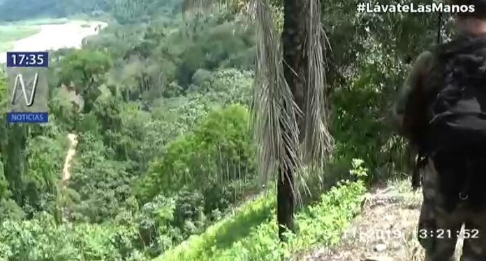 Sendero Luminoso sigue atacando, en sociedad con el narcotráfico