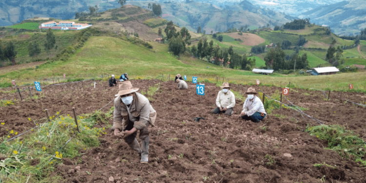 Evidencia: el sector minero y el agrario logran objetivos comunes de desarrollo