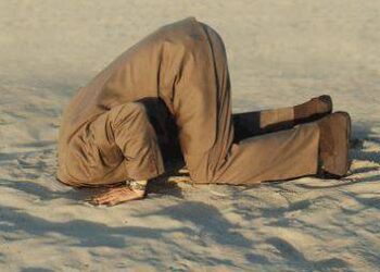 España de avestruces y universos paralelos. Por Yolanda Couceiro @yolandacmorin