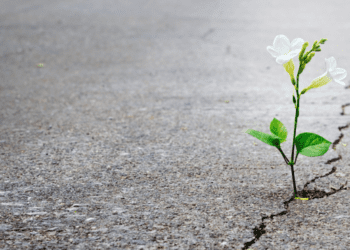 Bitácora del jueves 2 de octubre: “Se busca, presidente”