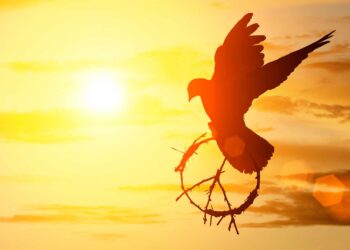 Erasmo de Róterdam: “Lamento de la paz”