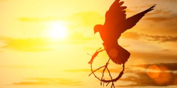 Erasmo de Róterdam: “Lamento de la paz”