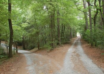 P. Manuel Tamayo: “En la entrada de dos caminos”