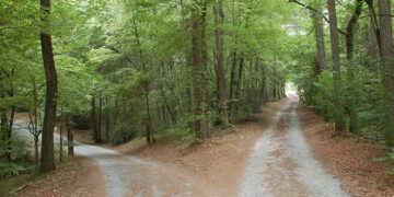 P. Manuel Tamayo: “En la entrada de dos caminos”
