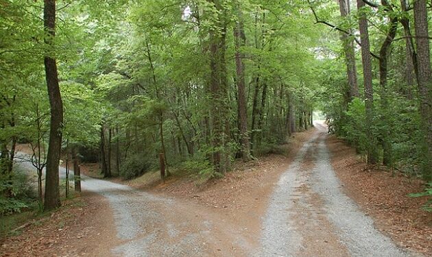 P. Manuel Tamayo: “En la entrada de dos caminos”