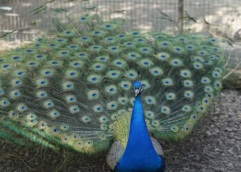 Bitácora del lunes 2 de noviembre: “La arrogancia y la vacancia”