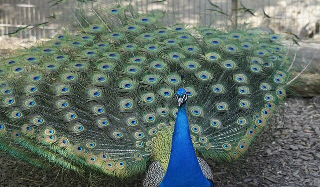 Bitácora del lunes 2 de noviembre: “La arrogancia y la vacancia”