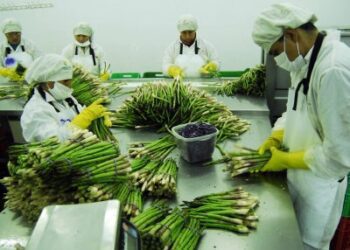 ¿Aprobar la derogatoria de la Ley de Promoción del Sector Agrario a cambio de qué?