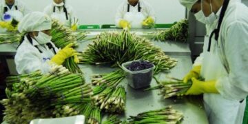 ¿Aprobar la derogatoria de la Ley de Promoción del Sector Agrario a cambio de qué?