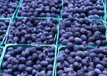 Perú: Volumen exportado de productos no tradicionales creció en 20,1%