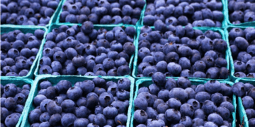 Perú: Volumen exportado de productos no tradicionales creció en 20,1%