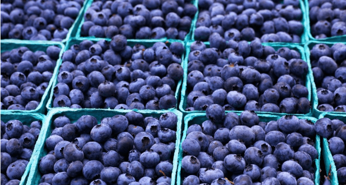 Perú: Volumen exportado de productos no tradicionales creció en 20,1%
