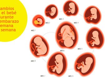 Bitácora del fin de semana: “Haciendo oficial el asesinato de un niño por nacer”