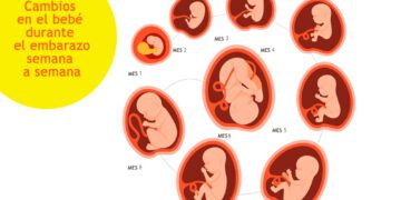 Bitácora del fin de semana: “Haciendo oficial el asesinato de un niño por nacer”