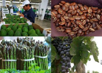 Exportaciones totales crecieron 0,82% luego de nueve meses de comportamiento desfavorable