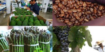 Exportaciones totales crecieron 0,82% luego de nueve meses de comportamiento desfavorable