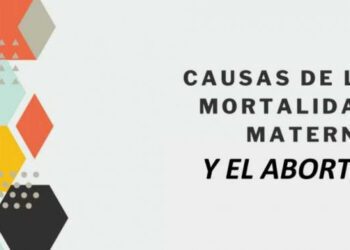 ¿Cuáles son las verdaderas razones para promover la legalización del aborto, siempre en el ámbito de la salud pública?