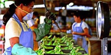 Nadie sabe lo que tiene… reza el sabio refrán, que se aplica para todo en la vida