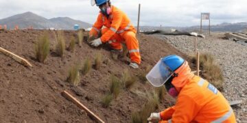 Gestión de desempeño laboral de empresa estatal Activos Mineros recibió importante reconocimiento
