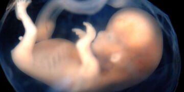 El aborto será un tema crucial para los católicos, frente al gobierno de Biden