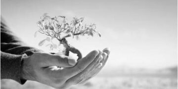 P. Manuel Tamayo comparte sus reflexiones hablando de “Sensatez y cordura”