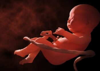 Médicos se declaran objetores de conciencia y no realizarán abortos en Argentina