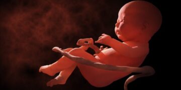 Médicos se declaran objetores de conciencia y no realizarán abortos en Argentina