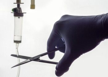 Eutanasia: No se debe tolerar que un órgano del Estado pretenda cambiar una norma constitucional