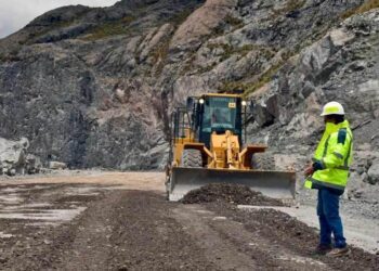 InfoCOMEX: Diagnóstico del desempeño de la economía peruana 2020