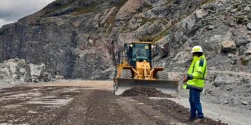 InfoCOMEX: Diagnóstico del desempeño de la economía peruana 2020