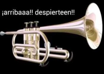 P. Manuel Tamayo reflexiona y nos dice: “Que los engañados despierten”