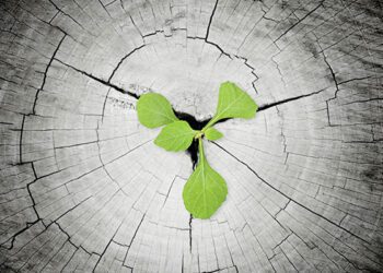 El último capítulo de la desesperación mediática: tumbarse a Keiko, De Soto y López Aliaga