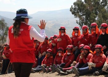 En el Perú “unos hicieron campaña desde las redes sociales y otros, desde los programas sociales”