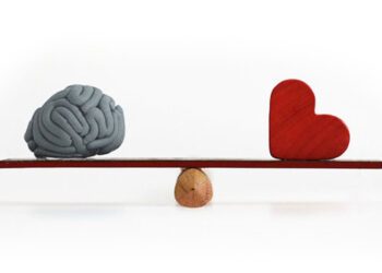 P. Manuel Tamayo reflexiona y recomienda: “Prudencia y conciencia para elegir”