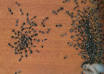 No esperemos el día de las elecciones, la decisión se toma ahora o se pierde el futuro