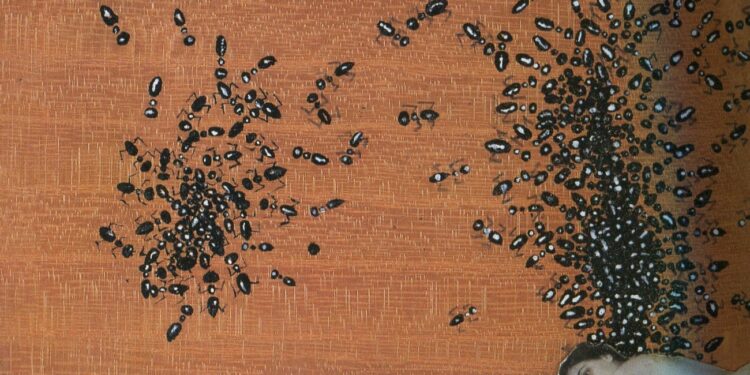 No esperemos el día de las elecciones, la decisión se toma ahora o se pierde el futuro