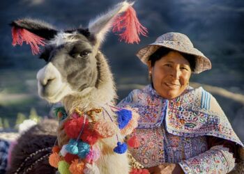 ¿Por qué son tan populares las llamas y cuál es la razón por la que nos gustan mucho?