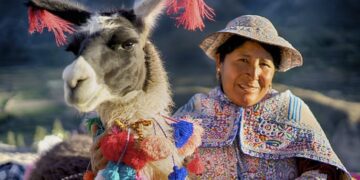 ¿Por qué son tan populares las llamas y cuál es la razón por la que nos gustan mucho?