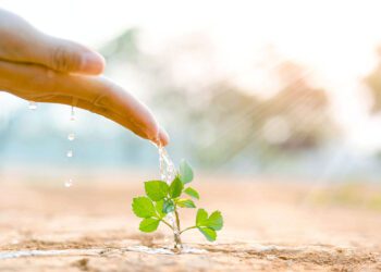 P. Manuel Tamayo reflexiona sobre la “Voluntad de Dios y voluntad del pueblo”