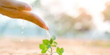 P. Manuel Tamayo reflexiona sobre la “Voluntad de Dios y voluntad del pueblo”