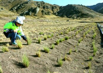 Importante recuperación de zonas afectadas por pasivos ambientales