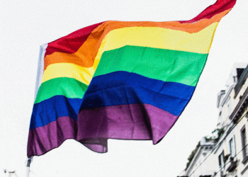 Secretario de Estado Vaticano, Cardenal Pietro Parolin: Ley contra homofobia castigaría cualquier distinción entre hombre y mujer